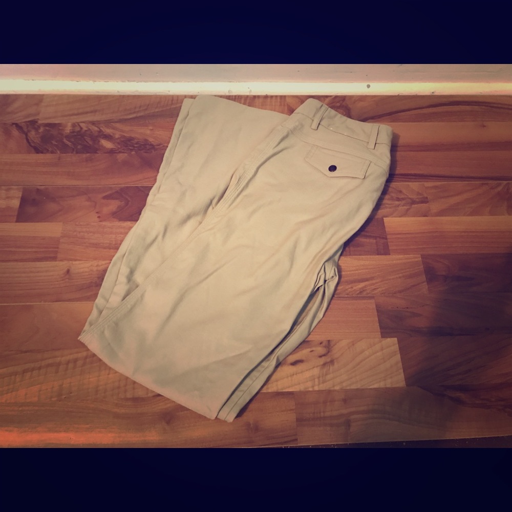 Express stretch dress pants